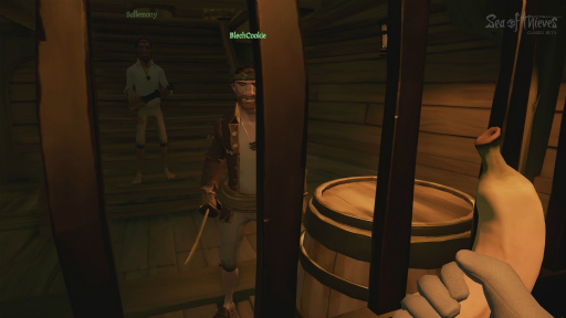 画像ギャラリー No.011のサムネイル画像 / 海賊王に俺はなれる……かもしれない。「Sea of Thieves」のクローズドβテストに参加してみた