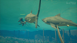 画像ギャラリー No.047のサムネイル画像 / 海賊王に俺はなれる……かもしれない。「Sea of Thieves」のクローズドβテストに参加してみた