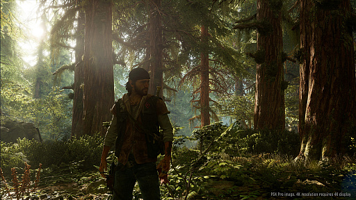 画像ギャラリー No.002のサムネイル画像 / 同じミッションなのにアプローチがまったく異なる，「Days Gone」の魅力を収めた最新トレイラーが公開