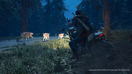 画像ギャラリー No.004のサムネイル画像 / 「Days Gone」は日本国内でも2019年2月22日に発売。感染者の姿や，昼と夜のマップの雰囲気などが確認できるスクリーンショットも公開