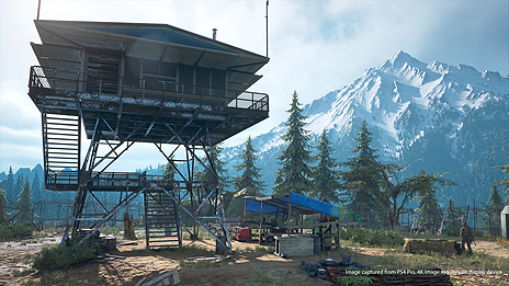 画像ギャラリー No.013のサムネイル画像 / 「Days Gone」は日本国内でも2019年2月22日に発売。感染者の姿や，昼と夜のマップの雰囲気などが確認できるスクリーンショットも公開