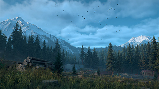 画像ギャラリー No.003のサムネイル画像 / ［TGS 2018］未公開シーン満載の「Days Gone」デモプレイをレポート。フリーカーの巣を一掃しないとファストトラベルは使えない