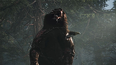 画像ギャラリー No.014のサムネイル画像 / PS4「Days Gone」の予約受付が本日スタート。早期購入特典は「バイクアップグレードパック」と「ドリフタークロスボウ」