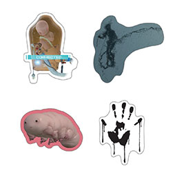 画像ギャラリー No.013のサムネイル画像 / 「DEATH STRANDING」,発売5周年を記念した展覧会+ポップアップイベントを11月8日より渋谷PARCOにて開催。グッズ情報も一挙掲載