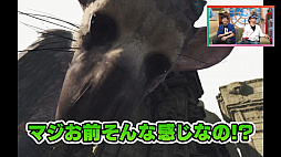 画像ギャラリー No.006のサムネイル画像 / PS4実況バラエティ「コレやろ!」の第7回が公開。「Farpoint」や「トリコVR」をプレイ