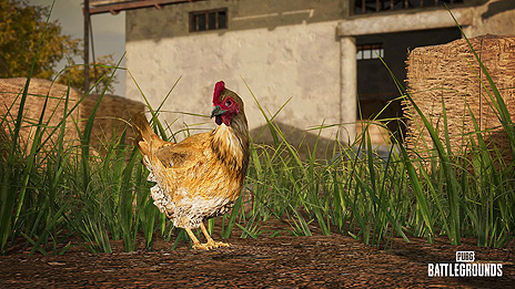 画像ギャラリー No.005のサムネイル画像 / 「PUBG: BATTLEGROUNDS」のアップデート14.2が実施。新武器,新要素“DBNO Swimming”,Taegoマップへの“鶏”実装など
