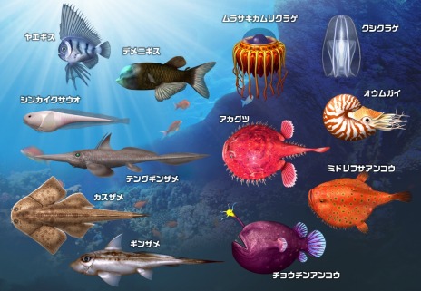 画像ギャラリー No.006のサムネイル画像 / 新たに深海魚が解禁。魚釣り体験ゲーム「釣りスピリッツ シンカー」稼働開始。釣りスピ-NETの正式サービスもスタート