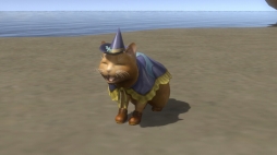 画像ギャラリー No.013のサムネイル画像 / 「信長の野望 Online」,新シーズン開幕アップグレード 「南蛮文化到来」が実装