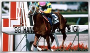画像ギャラリー No.004のサムネイル画像 / 「Winning Post スタリオン」，限定クエストに“ディープインパクト”などが登場