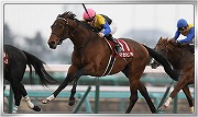 画像ギャラリー No.005のサムネイル画像 / 「Winning Post スタリオン」，限定クエストに“ディープインパクト”などが登場