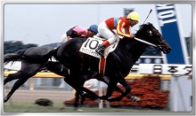 画像ギャラリー No.008のサムネイル画像 / 「Winning Post スタリオン」,15万DL突破記念キャンペーンを開催