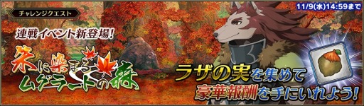 画像ギャラリー No.010のサムネイル画像 / 「ブレイジング オデッセイ」五剣聖最後の1人「シグ」が登場する「ピックアップ召魂！」を実施