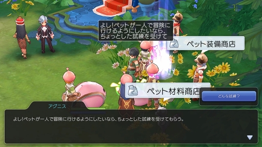 画像ギャラリー No.046のサムネイル画像 / ペットを活用して「ラグナロク マスターズ」の冒険を快適に! プレイ日記その3:2次職への転職の流れとペットシステムを解説