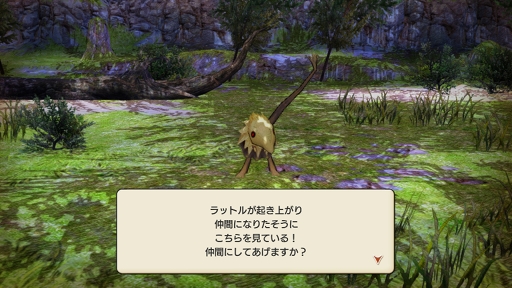 画像ギャラリー No.019のサムネイル画像 / 新作MMORPG「CARAVAN STORIES」CBTプレイレポート。βテストながらも豊富なやりこみ要素を体験