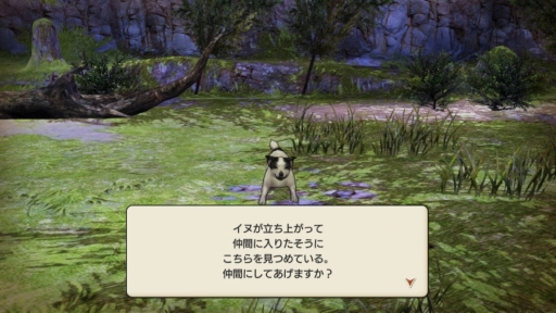 画像ギャラリー No.040のサムネイル画像 / 備えあればイアルの旅も憂いなし! これから始める「CARAVAN STORIES」。知っておきたい冒険のイロハを紹介