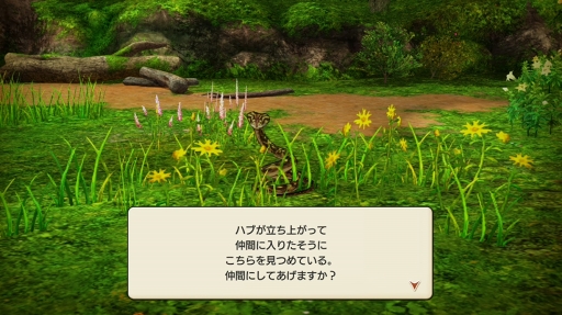 画像ギャラリー No.017のサムネイル画像 / 沖縄県の伊江島がイアルに登場！ 「CARAVAN STORIES」常夏の島を舞台にしたコラボイベントの見どころを紹介