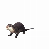 画像ギャラリー No.006のサムネイル画像 / 「CARAVAN STORIES」,全国7か所の動物園&水族館とコラボイベントが開催中