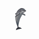 画像ギャラリー No.007のサムネイル画像 / 「CARAVAN STORIES」,全国7か所の動物園&水族館とコラボイベントが開催中