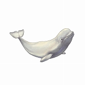 画像ギャラリー No.008のサムネイル画像 / 「CARAVAN STORIES」,全国7か所の動物園&水族館とコラボイベントが開催中