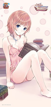 画像ギャラリー No.010のサムネイル画像 / コーエーテクモゲームスのコミケ92出展情報が公開。どでか布ポスターなどを販売