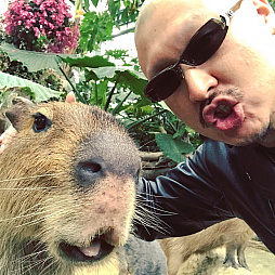 画像ギャラリー No.014のサムネイル画像 / マフィア梶田の二次元が来い！：第398回「GOHO的にMCをこなす電脳少女の悪魔的生放送」