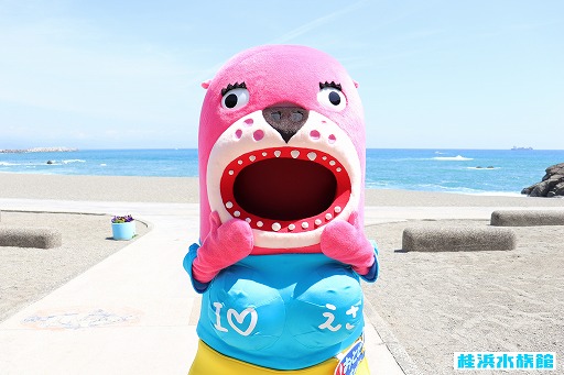 画像ギャラリー No.010のサムネイル画像 / 「エリたま」，桂浜水族館のマスコットキャラ「おとどちゃん」とのコラボキャンペーンが5月14日より開催