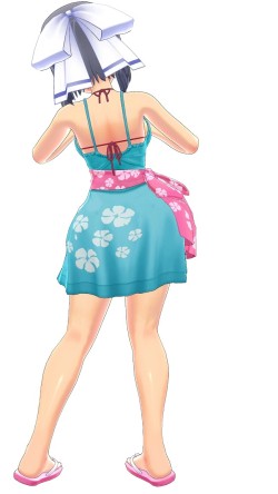 画像ギャラリー No.009のサムネイル画像 / 「閃乱カグラ PEACH BEACH SPLASH」PS Plus会員限定カスタムテーマを配信開始
