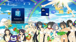 画像ギャラリー No.010のサムネイル画像 / 「閃乱カグラ PEACH BEACH SPLASH」PS Plus会員限定カスタムテーマを配信開始