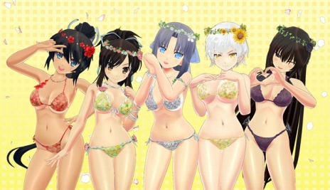 画像ギャラリー No.007のサムネイル画像 / 「閃乱カグラ PEACH BEACH SPLASH」の価格改定版「SUNSHINE EDITION」が発売。パッケージは新規イラスト，水着5種の特典コード付き