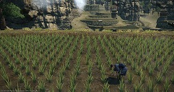 画像ギャラリー No.013のサムネイル画像 / いざ,アラミゴ&ドマの解放へ! 「FFXIV:紅蓮のリベレーター」のプレイレポートをお届け。クガネ登山もやってみた
