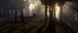 画像ギャラリー No.005のサムネイル画像 / 「Red Dead Redemption 2」のトレイラーがついに公開。舞台はアメリカのハートランドへ
