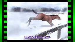 画像ギャラリー No.012のサムネイル画像 / 競走馬育成ゲーム「StarHorsePocket」プレイレポート。ゲームセンターで16年以上遊ばれている「StarHorse」がスマホアプリで完全再現