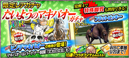 画像ギャラリー No.002のサムネイル画像 / 「StarHorsePocket」,「たいようのマキバオー」とのコラボが開催