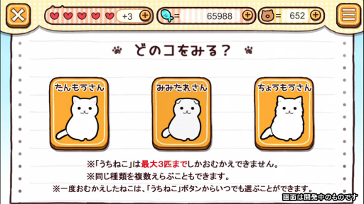 画像ギャラリー No.003のサムネイル画像 / 自分だけの猫を登場させよう。「玉之丞のおでかけ」うちねこ機能が実装