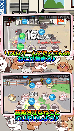 ねこび〜と