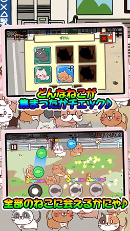 ねこび〜と