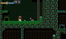 画像ギャラリー No.010のサムネイル画像 / サン電子の「超惑星戦記 メタファイト」が29年の歳月を経てリニューアル。ニンテンドー3DS用ソフト「ブラスターマスターゼロ」が2017年春に発売