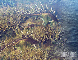画像ギャラリー No.004のサムネイル画像 / ネクソン,「Durango: Wild Lands」の正式サービスを韓国で開始。事前予約者はネクソングループ史上最高となる250万名を記録