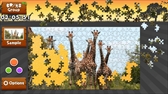 画像ギャラリー No.004のサムネイル画像 / 動画で遊ぶPC用ジグソーパズル「Wild Animals - Animated Jigsaws」がSteamにて配信開始