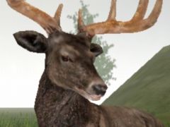 山羊……ではなく鹿として自然を生き抜くシミュレーションゲーム「Life Of Deer」を紹介する「（ほぼ）日刊スマホゲーム通信」第1274回