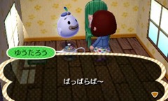 画像ギャラリー No.009のサムネイル画像 / 「とびだせ どうぶつの森 amiibo＋」が明日（11月23日）発売。「とびだせ どうぶつの森」を持っていれば無料アップデートで遊びが増える