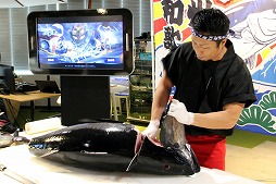 画像ギャラリー No.011のサムネイル画像 / NHNハンゲームの“RPG×釣り”アプリ「フィッシュアイランド2」が2月7日に配信予定。本マグロも振る舞われたプレス向け発表会をレポート