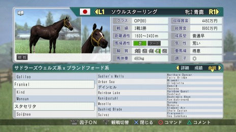 画像ギャラリー No.008のサムネイル画像 / 「Winning Post 8 2017」，新コマンド「お守りボーナス」で競走馬の故障期間を短縮。追加競走馬の情報を公開