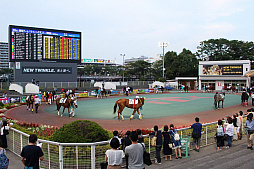 画像ギャラリー No.007のサムネイル画像 / 「Winning Post」と東京シティ競馬のコラボイベントが今年も開催。抽選会やレース観戦イベントの模様をレポート