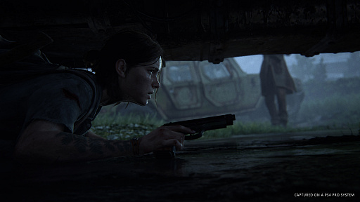 画像ギャラリー No.003のサムネイル画像 / PS4用ソフト「The Last of Us Part II」は,2020年2月21日に発売。予約受付もスタート