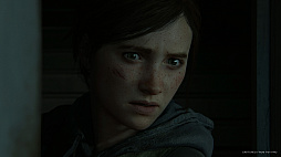 画像ギャラリー No.012のサムネイル画像 / PS4用ソフト「The Last of Us Part II」は,2020年2月21日に発売。予約受付もスタート