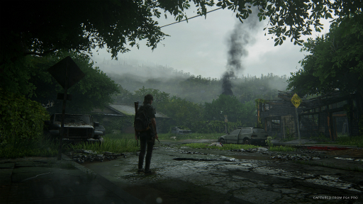 画像ギャラリー No.010のサムネイル画像 / 「The Last of Us Part II」のインプレッションをお届け。19歳に成長したエリーとジョエルの関係はどうなっているのか