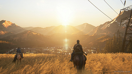 画像ギャラリー No.005のサムネイル画像 / PS4用アクションADV「The Last of Us Part II」のストーリートレイラーが公開。マスターアップをアナウンスするメッセージ映像も