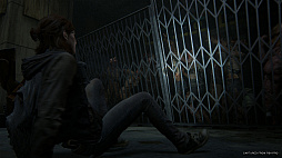 画像ギャラリー No.007のサムネイル画像 / PS4用アクションADV「The Last of Us Part II」のストーリートレイラーが公開。マスターアップをアナウンスするメッセージ映像も