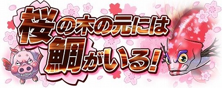 画像ギャラリー No.002のサムネイル画像 / 「ソラとウミのアイダ」,イベント“桜の木の元には鯛がいる!”を開催